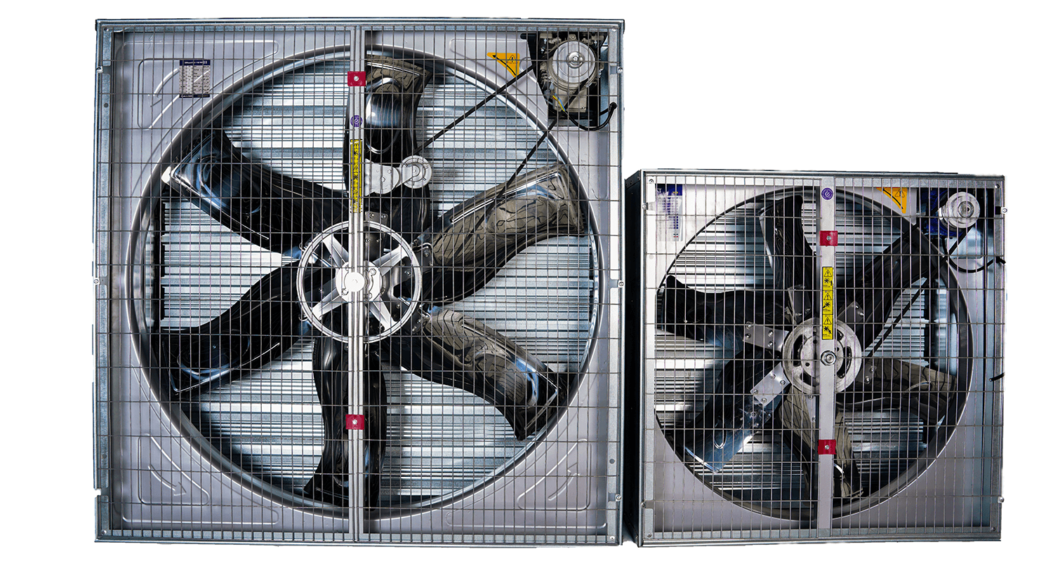 فن اگزاست 6 پر پر_سریرپی